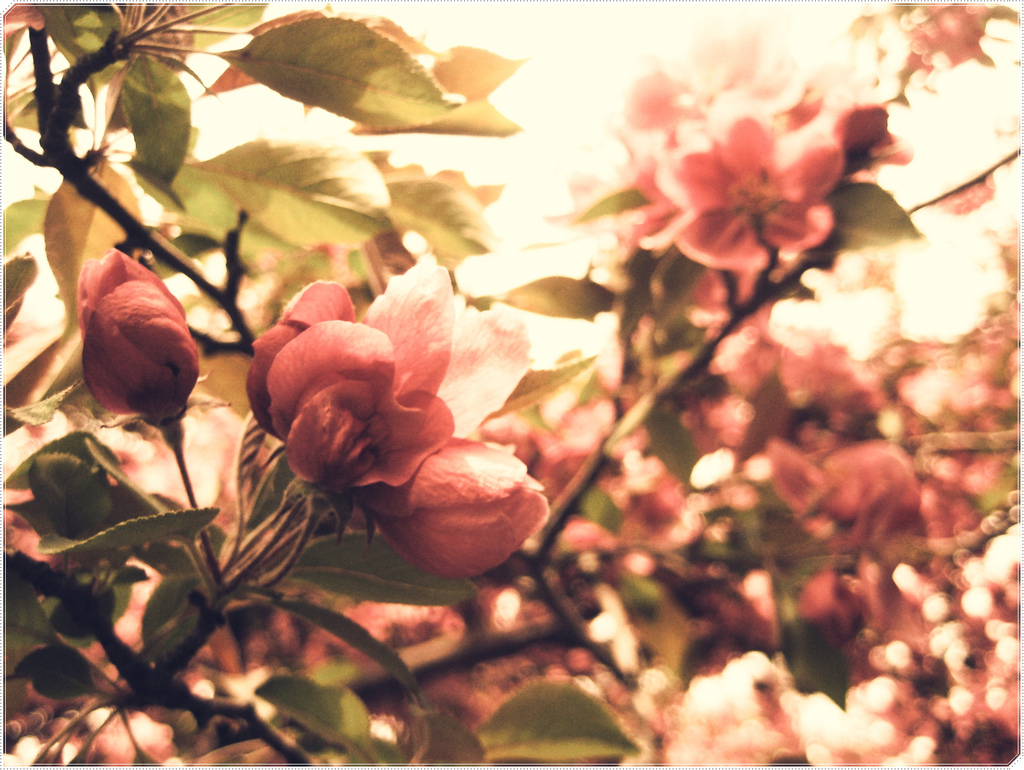 Photo Credit: Spenser Marie @ Flickr (CC)