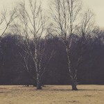 CONSCIOUS RELATIONSHIPS