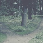 IS THERE REALLY FREE WILL?