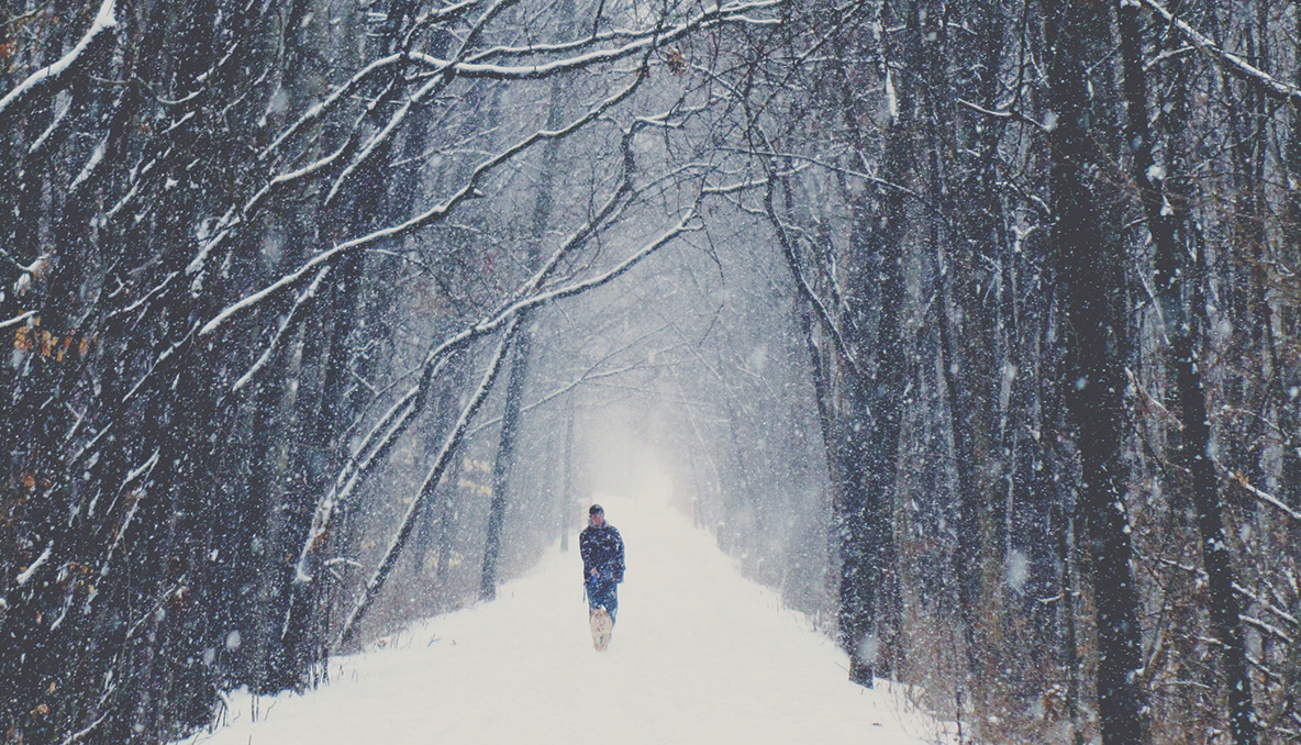 Photo Credit: NRachel Kramer @ Flickr (Creative Commons)