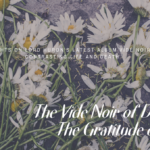 The Vide Noir of Death or The Gratitude of Life?